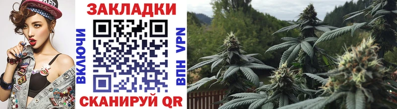 Купить наркоту Вязьма Гашиш  COCAIN  Меф  Бошки Шишки 