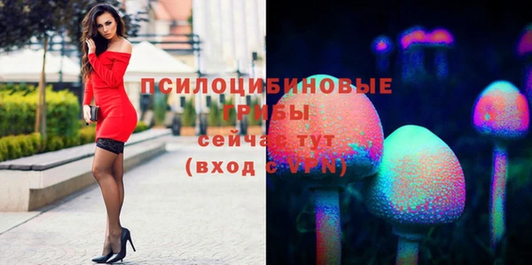 гидропоника Осинники