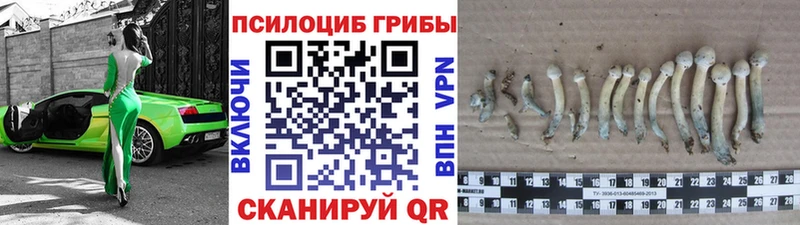 Галлюциногенные грибы мицелий  наркотики  ОМГ ОМГ рабочий сайт  Вязьма 