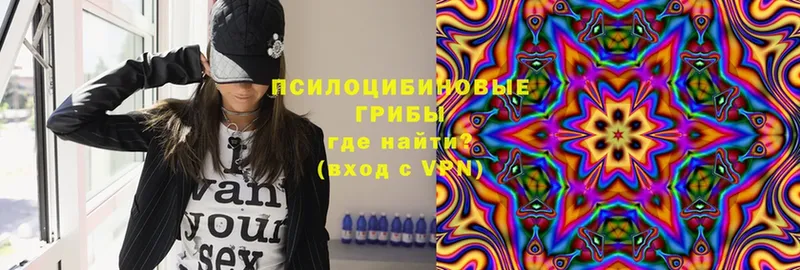 Псилоцибиновые грибы мухоморы Вязьма