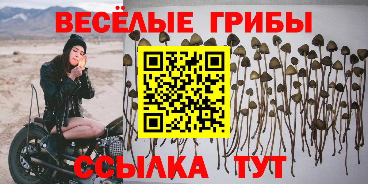 Псилоцибиновые грибы мицелий  Вязьма 