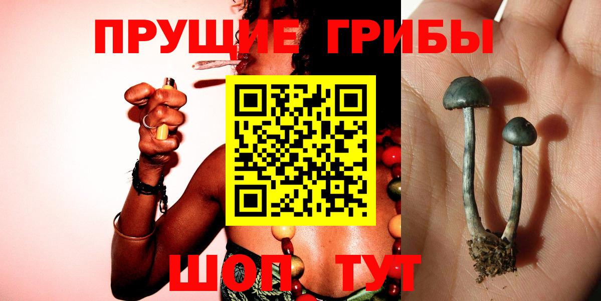 Вязьма  Галлюциногенные грибы ЛСД  Вход с VPN 