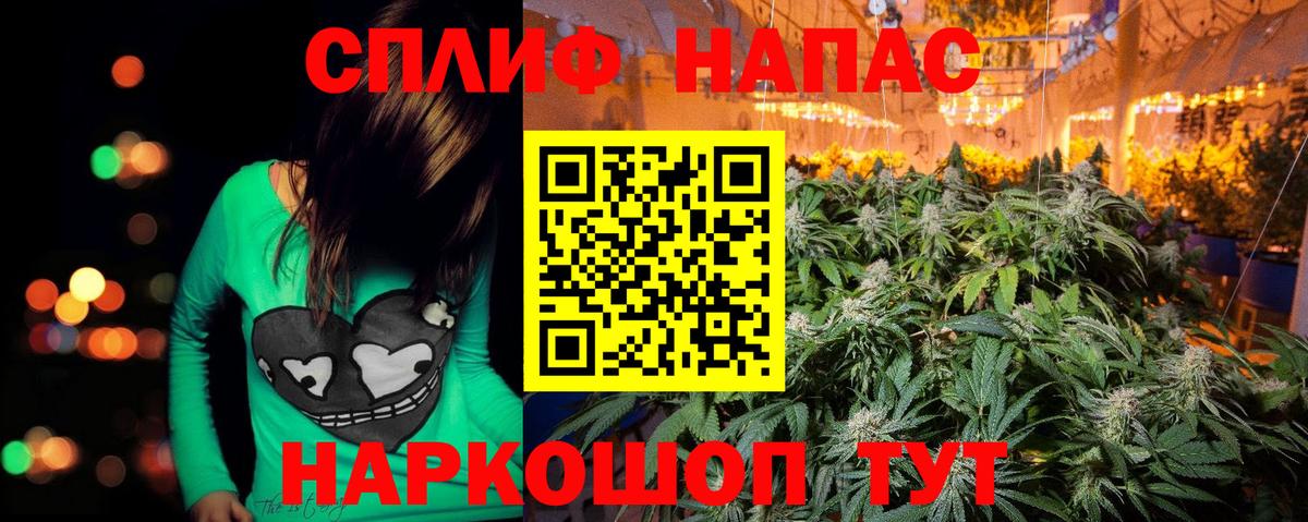 Бошки Шишки ГИДРОПОН  Вязьма  Канабис гибрид  Шишки марихуана план 